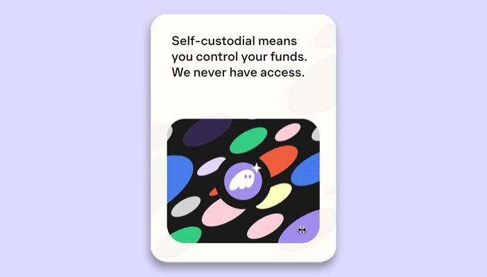 03 Self Custody2.gif