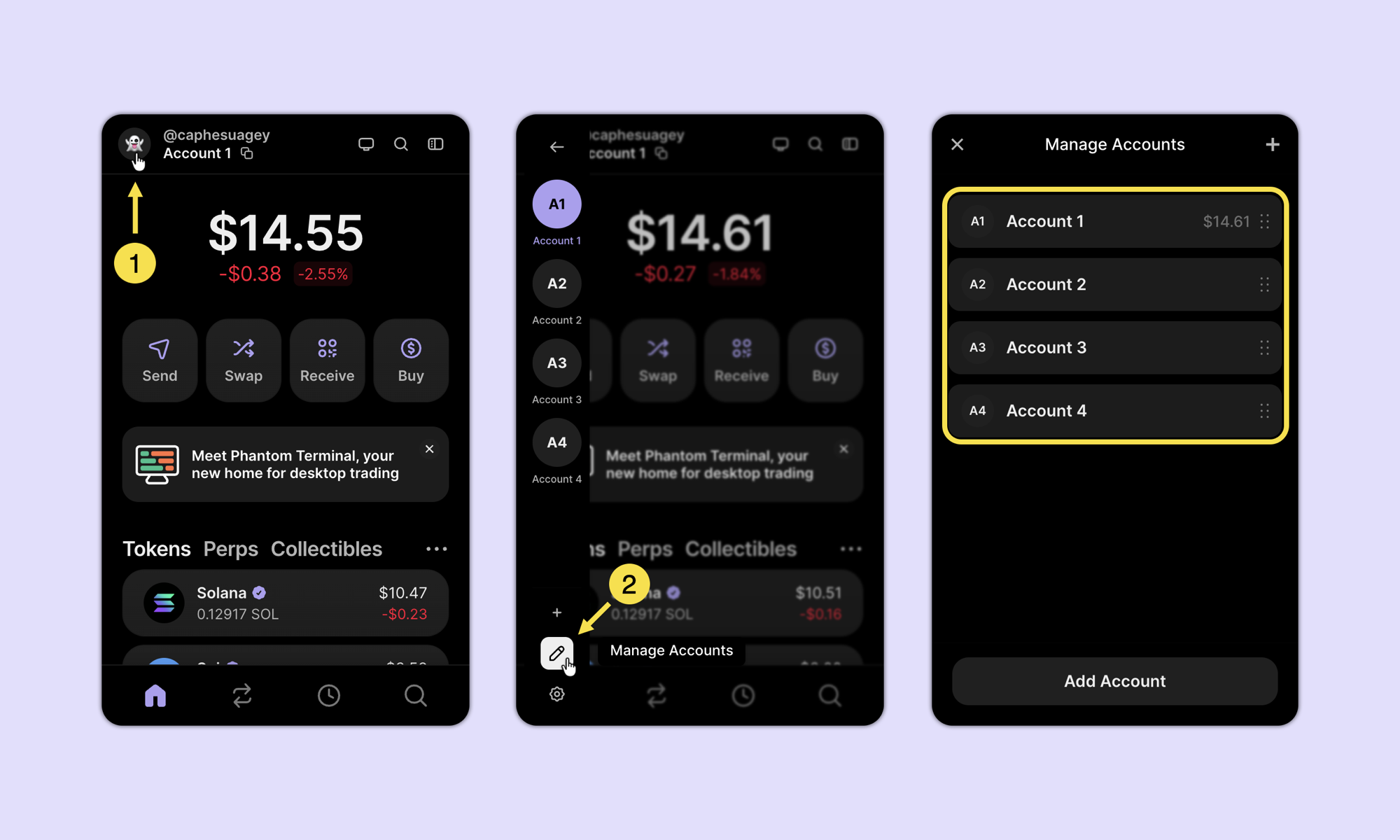manage-accounts-extension.png